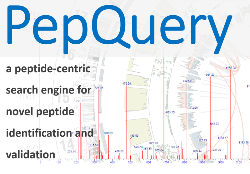 PepQuery